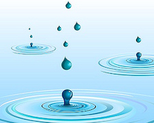 How to Conserve Water Without Spending a Dime