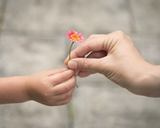 Giving Thanks: Little Ways to Show Gratitude Every Day