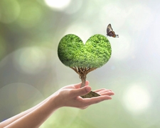 10 Easy Ways to Live a More Eco-Friendly Life