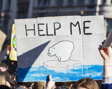 Simple Ways to Support Social and Environmental Justice Movements