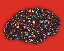 Emotional Intelligence: Traits & Development