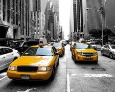 What to see in New York City in 2015